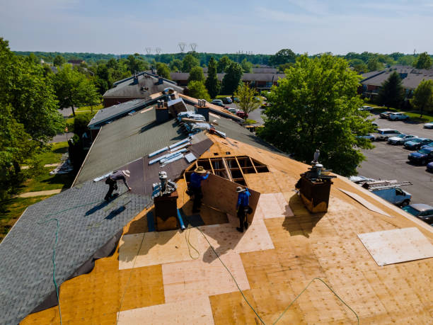 Trusted Storm Damage Roof Repair service in Schell City, MO - Brentwood Metal Roofing